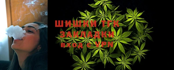ГАЛЛЮЦИНОГЕННЫЕ ГРИБЫ Алзамай