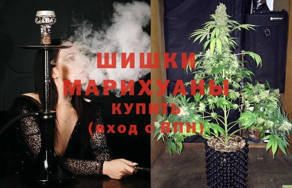 мяу мяу мука Абаза